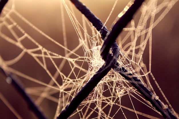 The Dark Side of DeFi: Security Risks and Mitigation Strategies